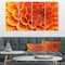 Designart - Large Orange Flower and Petals - Floral Canvas Art Print